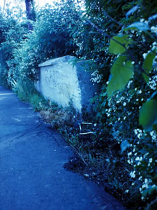 stone abutment hidden by bushes