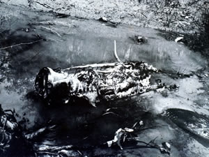 General Spruance's airplane crash debris